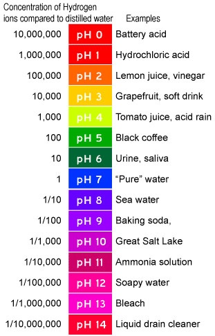 Drain PH Chemicals.jpg